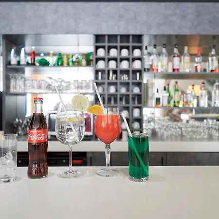 斯特拉斯堡中心智选假日酒店 酒店