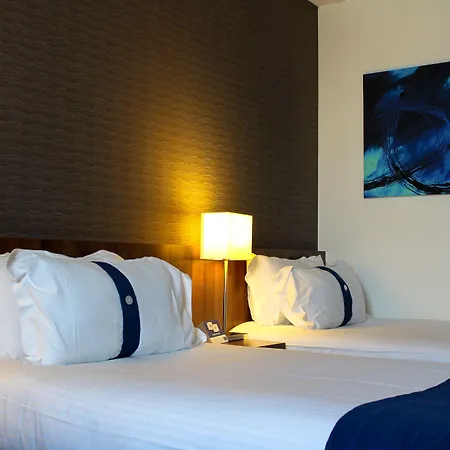 斯特拉斯堡中心智选假日酒店 酒店 斯特拉斯堡