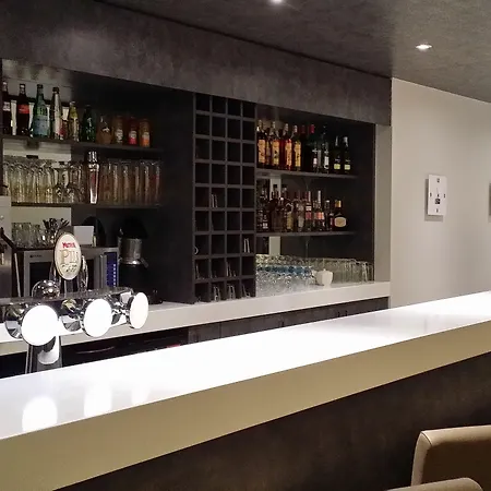 斯特拉斯堡中心智选假日酒店 酒店 3*