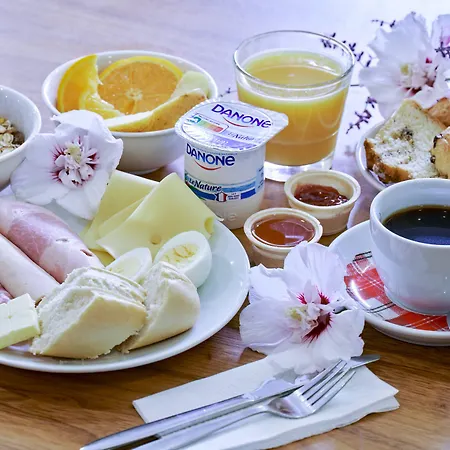 斯特拉斯堡中心智选假日酒店 酒店 3*