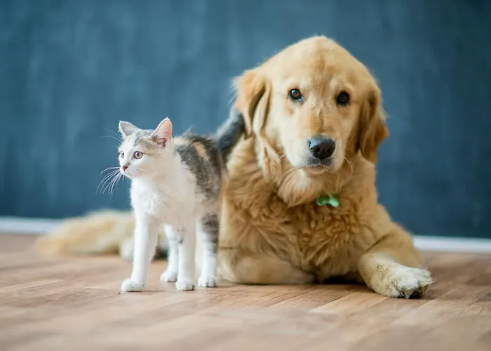 Hotel Express Centre By Ihg 3*