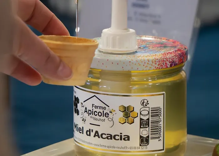 Hotel Express Centre By Ihg Straßburg